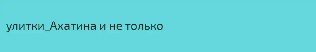 улитки_Ахатина и не только